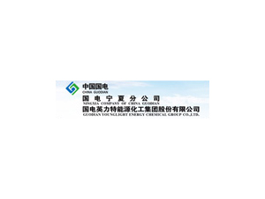 国电英力特能源化工集团股份