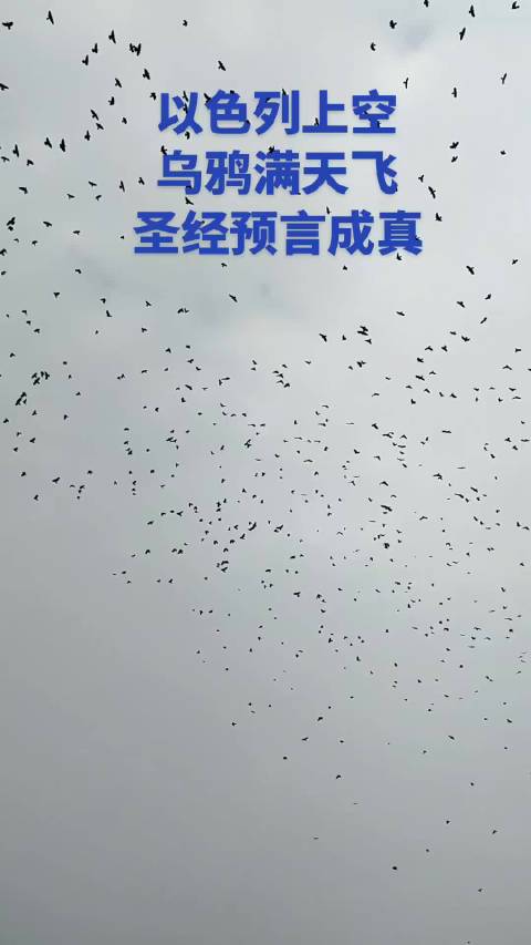 努内斯助攻哈兰德破门 曼城新星或成葡萄牙右路